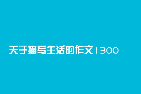 关于描写生活的作文1300字：渔人罗曼史