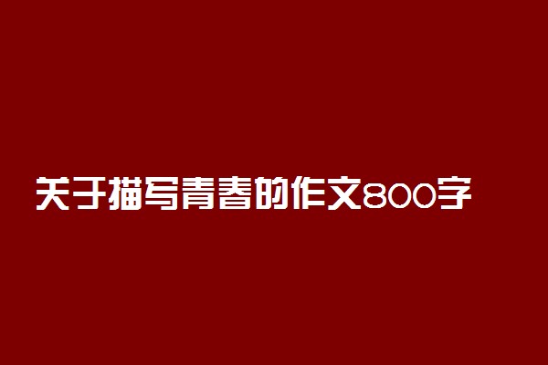 关于描写青春的作文800字：书写青春新征程