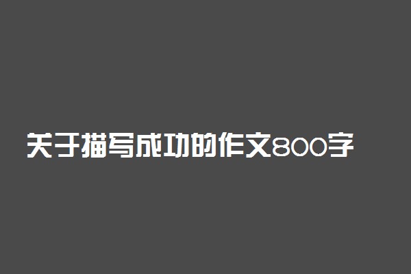 关于描写成功的作文800字：成功是认真结的果