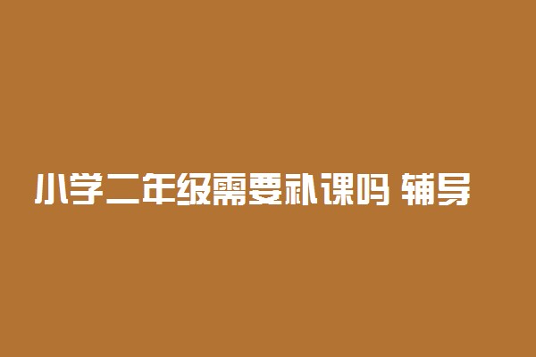 小学二年级需要补课吗 辅导班有用吗