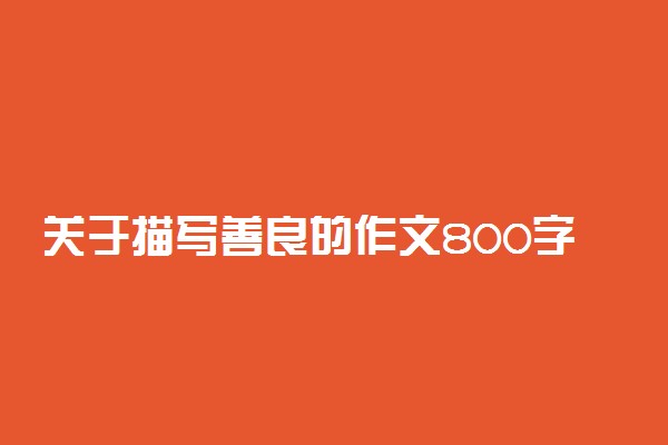 关于描写善良的作文800字：善良则需善之有度