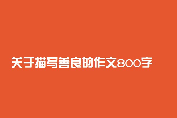 关于描写善良的作文800字：善良则需善之有度