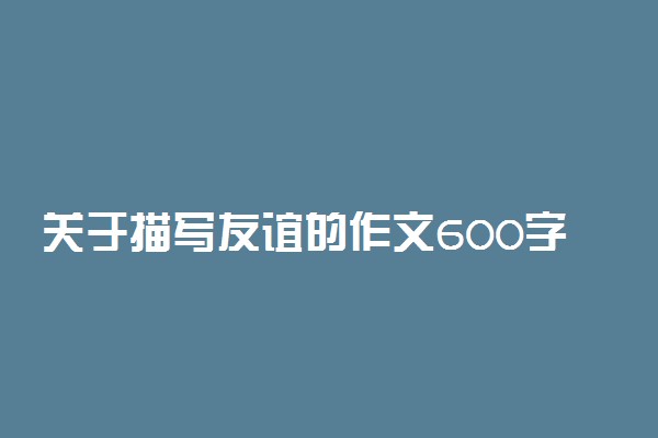 关于描写友谊的作文600字：你是最让我感激的人