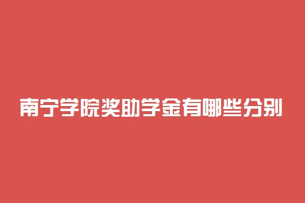 南宁学院奖助学金有哪些分别多少钱 怎么申请评定