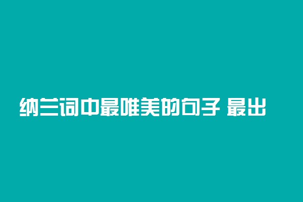纳兰词中最唯美的句子 最出名的句子