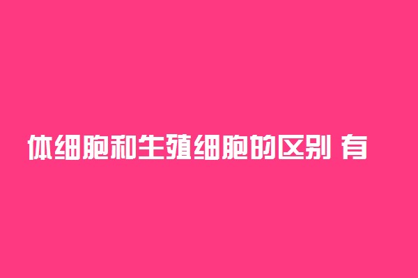 体细胞和生殖细胞的区别 有哪些不同