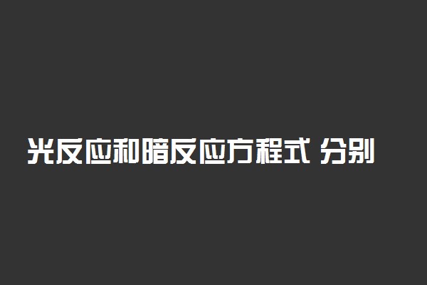 光反应和暗反应方程式 分别是什么