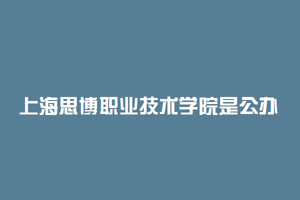 上海思博职业技术学院是公办还是民办