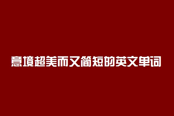 意境超美而又简短的英文单词 英语词汇积累