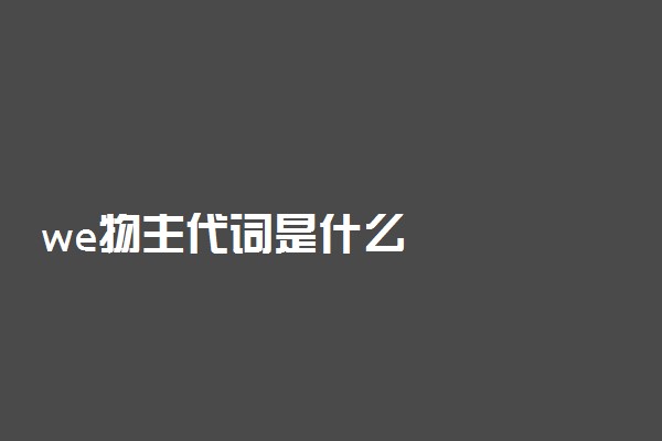 we物主代词是什么