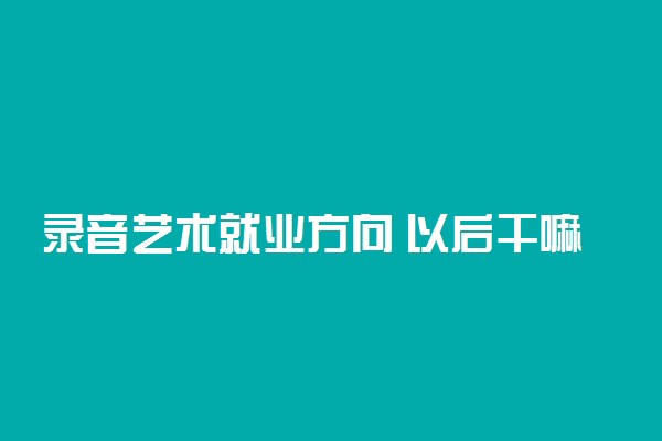 录音艺术就业方向 以后干嘛能赚多少钱