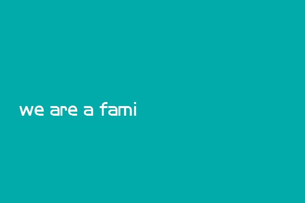 we are a family语法对吗