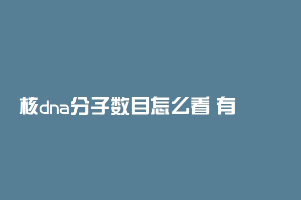 核dna分子数目怎么看 有什么方法