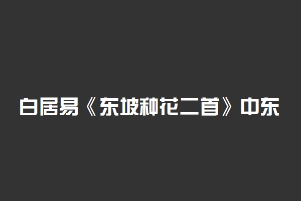 白居易《东坡种花二首》中东坡位于今重庆哪里