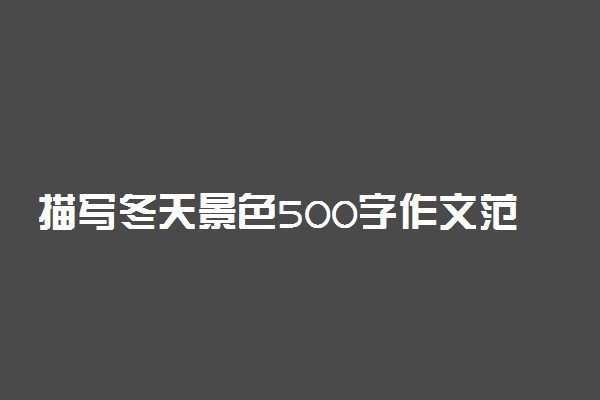 描写冬天景色500字作文范文