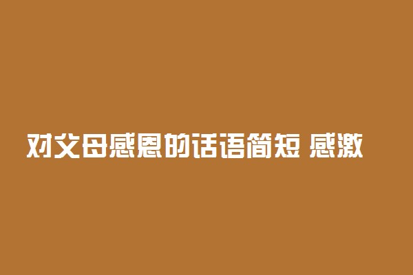 对父母感恩的话语简短 感激父母的暖心话