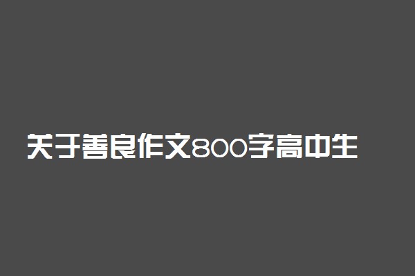关于善良作文800字高中生议论文范文