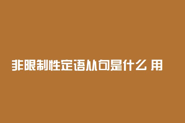非限制性定语从句是什么 用法有哪些