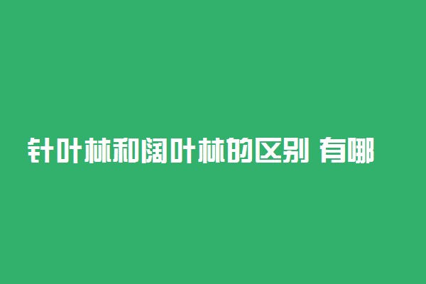 针叶林和阔叶林的区别 有哪些不同