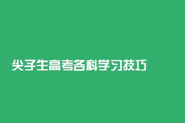 尖子生高考各科学习技巧