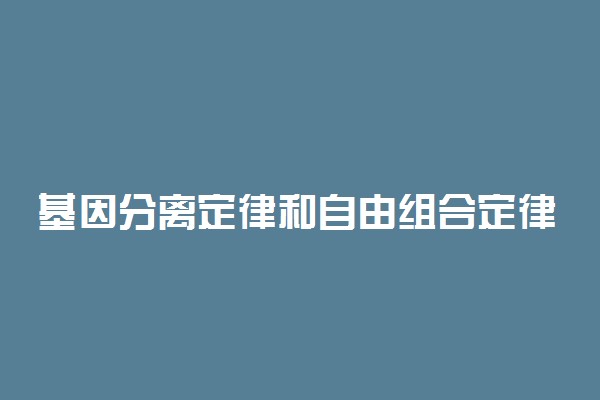 基因分离定律和自由组合定律的区别与联系