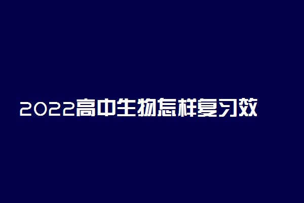 2022高中生物怎样复习效果最好