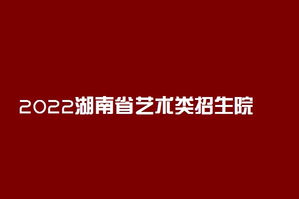 2022湖南省艺术类招生院校名单