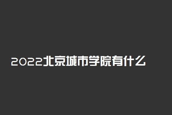 2022北京城市学院有什么学院