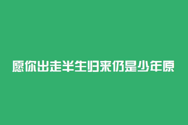 愿你出走半生归来仍是少年原文出处