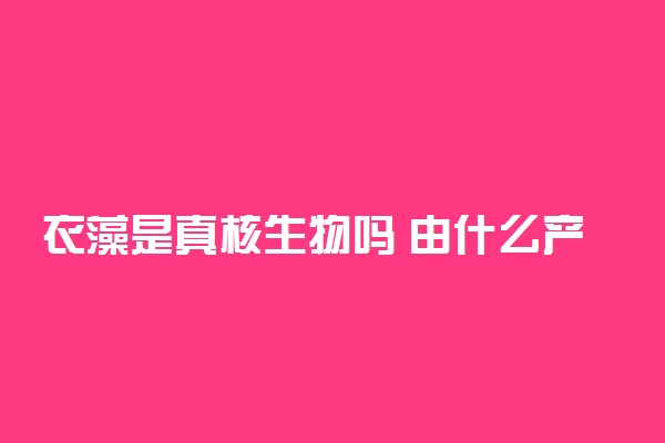 衣藻是真核生物吗 由什么产生的