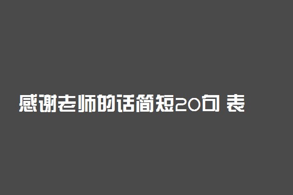 感谢老师的话简短20句 表达老师辛苦的句子