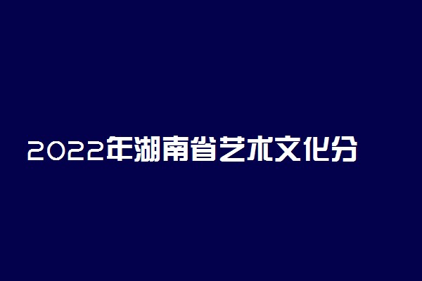 2022年湖南省艺术文化分要求低的院校 什么大学容易录取