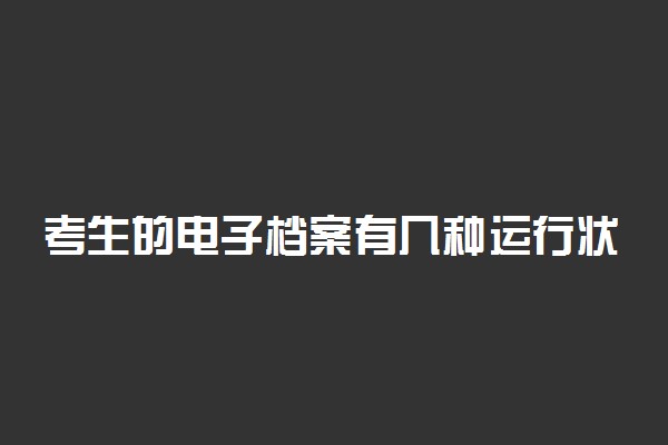 考生的电子档案有几种运行状态 分别是什么