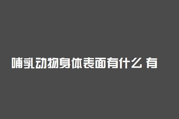 哺乳动物身体表面有什么 有哪些特征