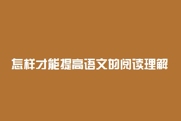 怎样才能提高语文的阅读理解的成绩