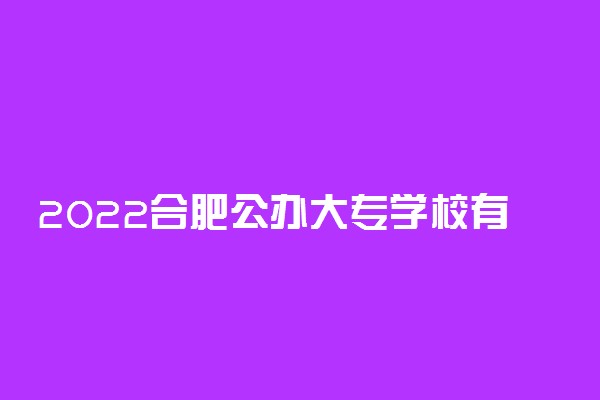 2022合肥公办大专学校有哪些 【教育部专科院校名单】