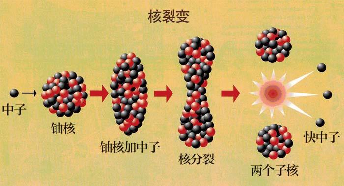 2022核工程与核技术专业全国大学最新排名