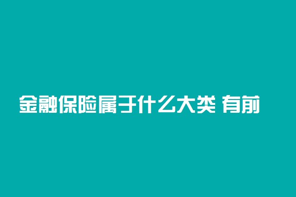 金融保险属于什么大类 有前景吗