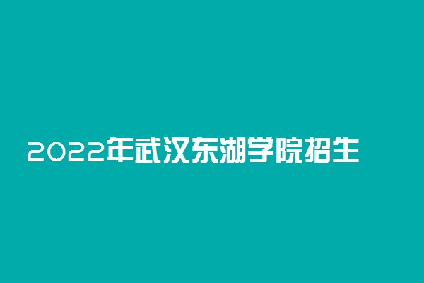 2022年武汉东湖学院招生计划及招生人数 各省都招什么专业