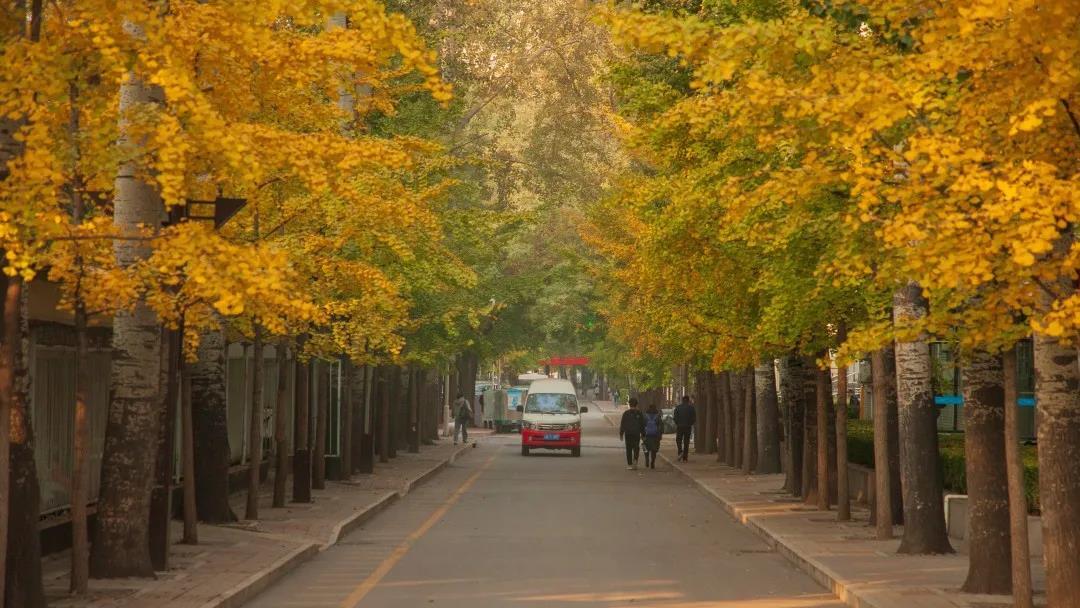 河南排名多少可以上中央民族大学？附河南最低录取分数线及位次