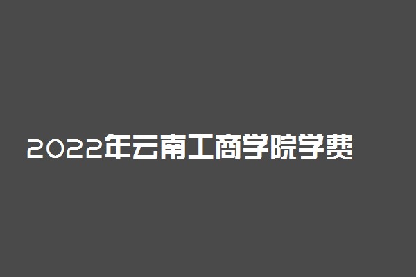 2022年云南工商学院学费多少钱 一年各专业收费标准