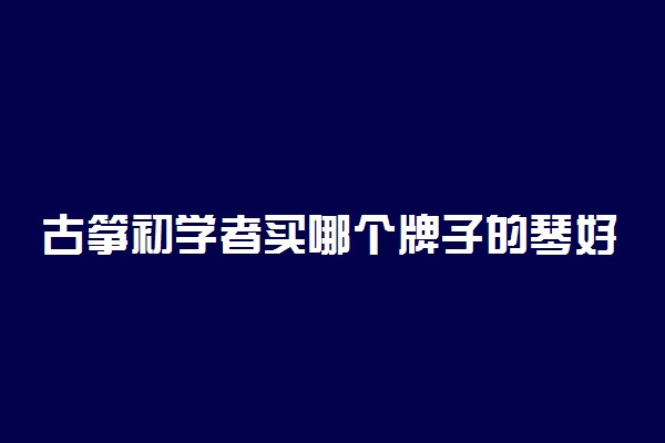 古筝初学者买哪个牌子的琴好 怎样选择