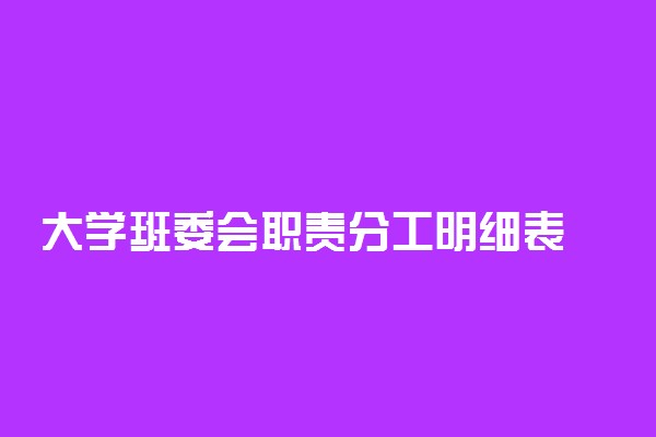 大学班委会职责分工明细表 具体怎样分工的