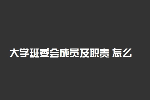 大学班委会成员及职责 怎么竞选班委