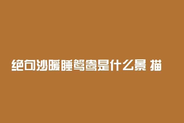 绝句沙暖睡鸳鸯是什么景 描绘了怎样的景象