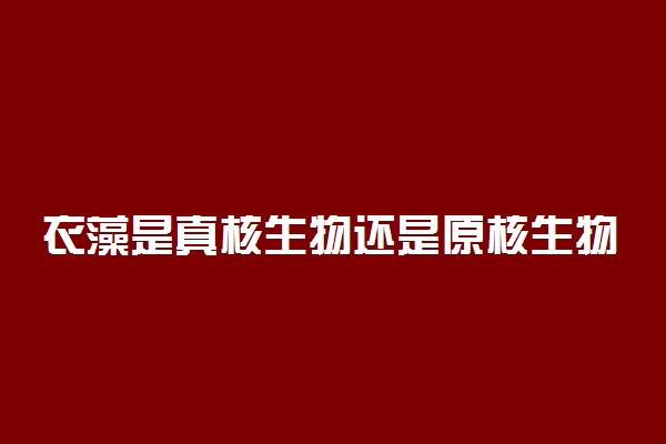 衣藻是真核生物还是原核生物 有细胞壁吗