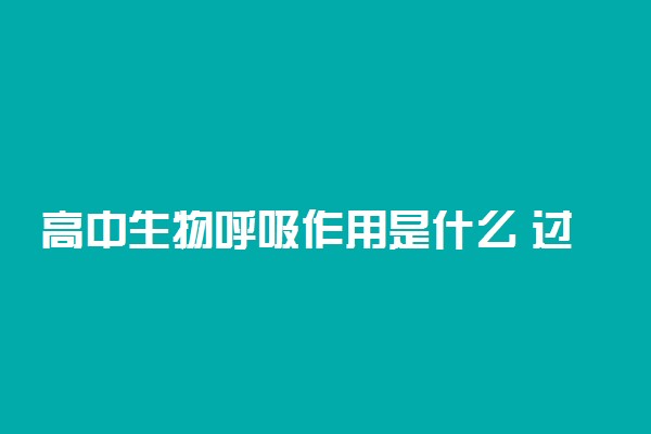 高中生物呼吸作用是什么 过程有哪些