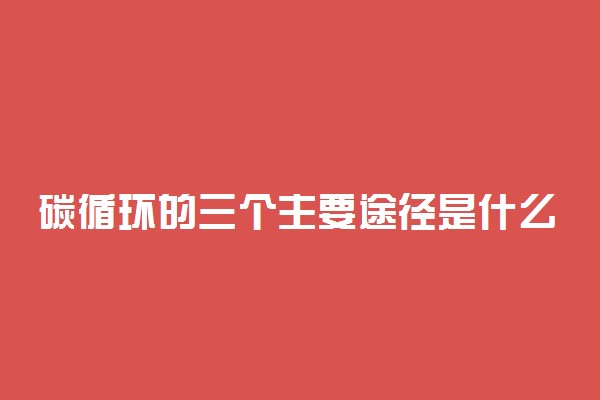 碳循环的三个主要途径是什么