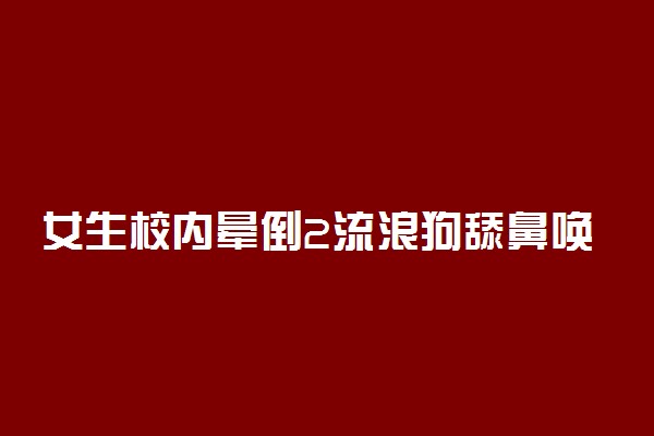 女生校内晕倒2流浪狗舔鼻唤醒 具体发生了什么