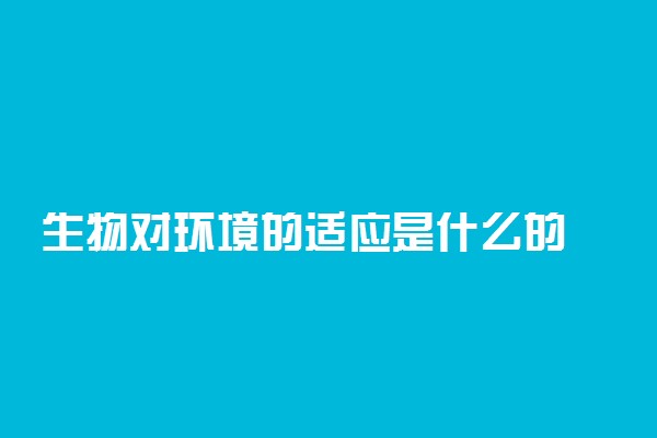 生物对环境的适应是什么的 有什么关系